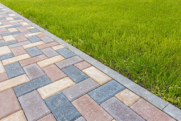 Best Driveway Paving Near Me  in Chigan Center, MI